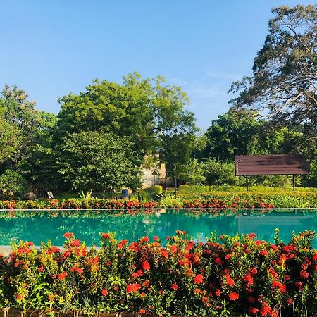 Lolu Village Resort Anuradhapura Exterior photo
